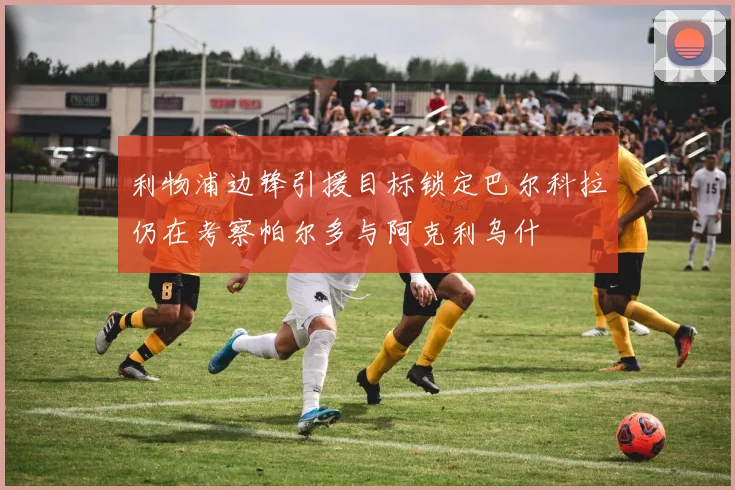 利物浦边锋引援目标锁定巴尔科拉仍在考察帕尔多与阿克利乌什